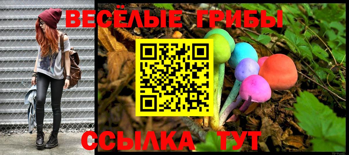 Псилоцибиновые грибы Psilocybine cubensis  Вход с VPN  купить наркотик  Городец 